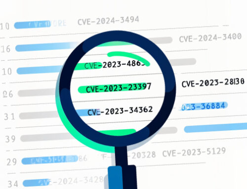 Beyond Vulnerability Management – Can You CVE What I CVE?