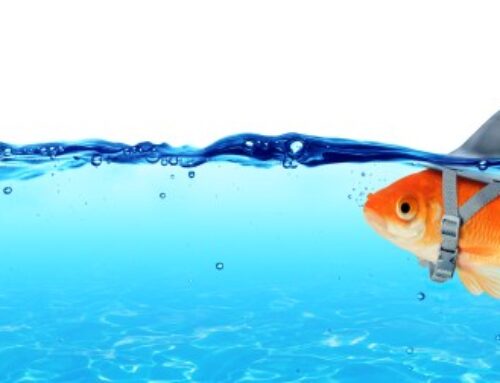 Phundamental or pholly? – Sophos News